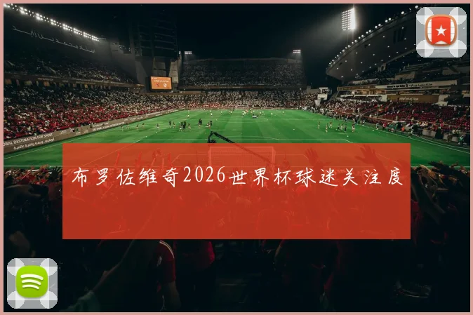 布罗佐维奇2026世界杯球迷关注度