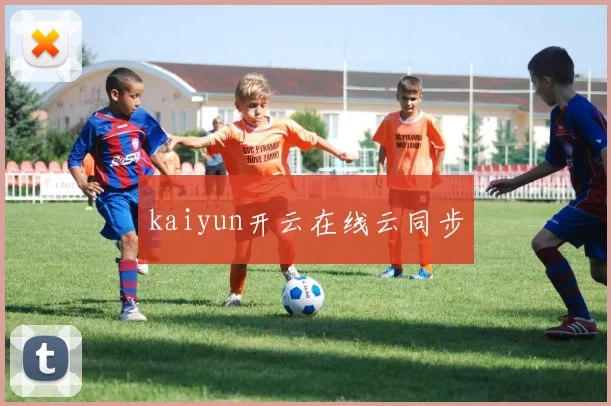 kaiyun开云在线云同步
