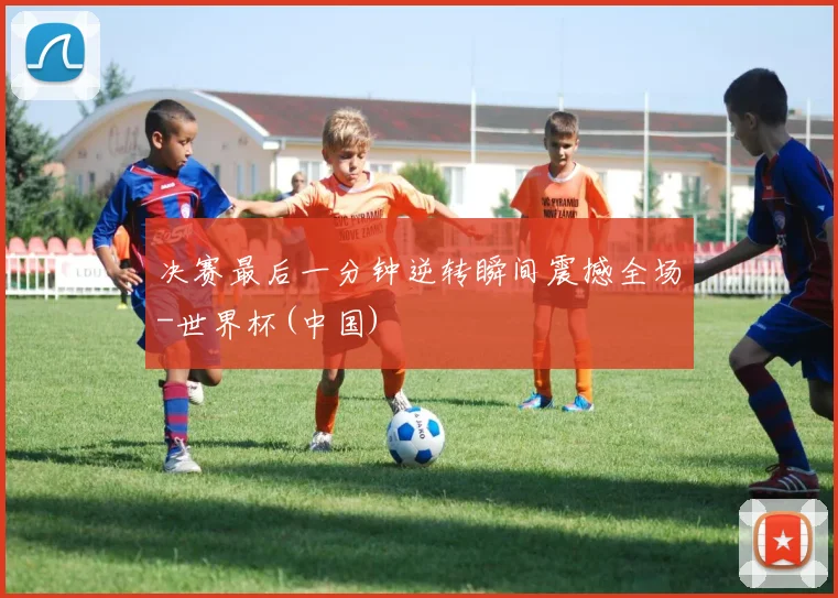 决赛最后一分钟逆转瞬间震撼全场-世界杯(中国)