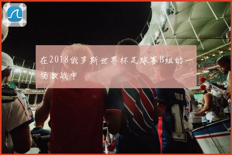 在2018俄罗斯世界杯足球赛B组的一场激战中