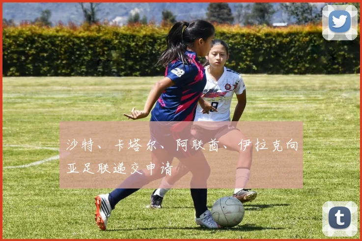沙特、卡塔尔、阿联酋、伊拉克向亚足联递交申请