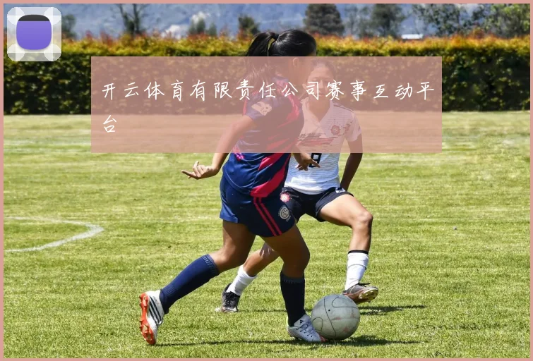 开云体育有限责任公司赛事互动平台