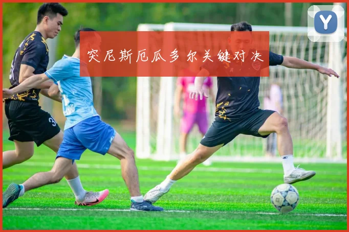 突尼斯厄瓜多尔关键对决