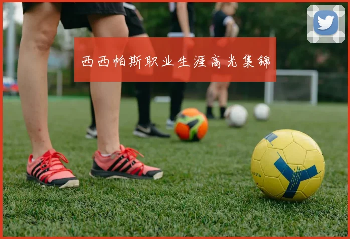 西西帕斯职业生涯高光集锦