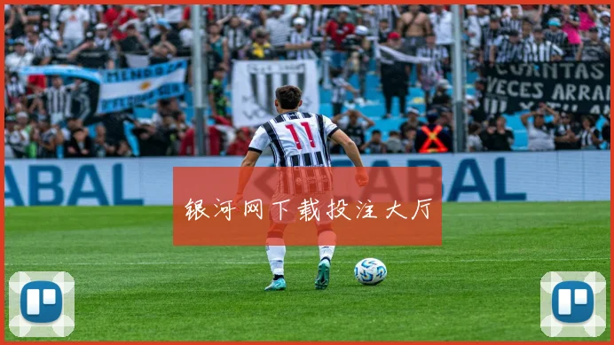 银河网下载投注大厅