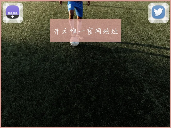 开云唯一官网地址