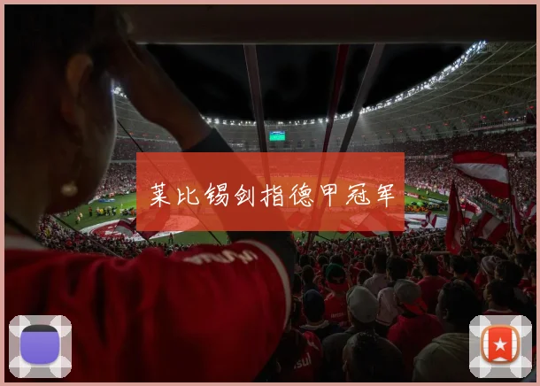 莱比锡剑指德甲冠军