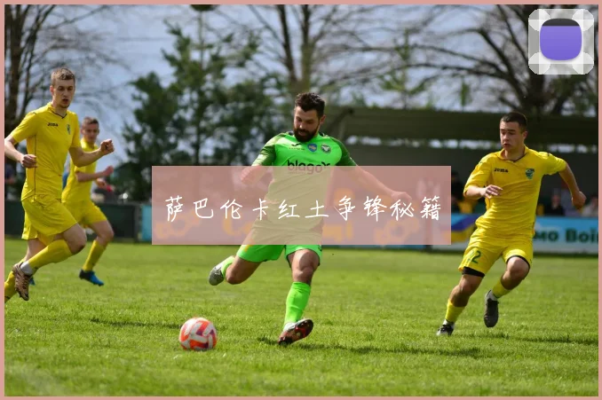 萨巴伦卡红土争锋秘籍