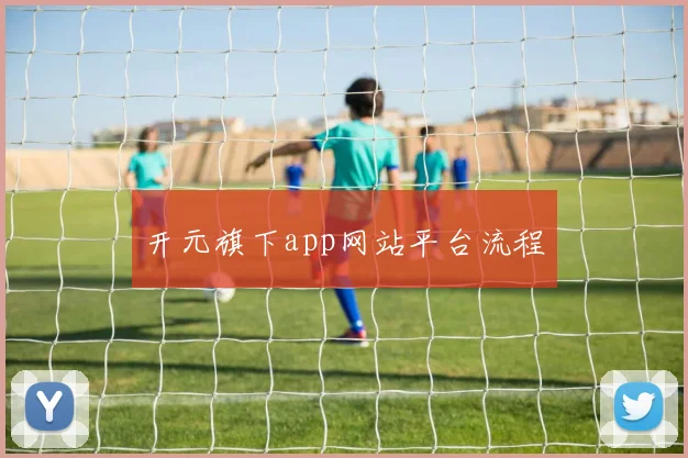 开元旗下app网站平台流程