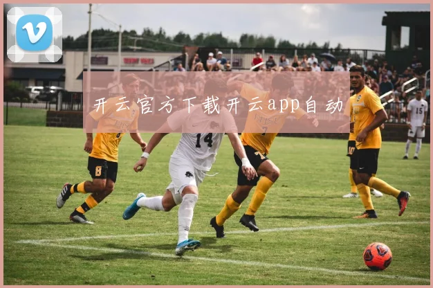 开云官方下载开云app自动