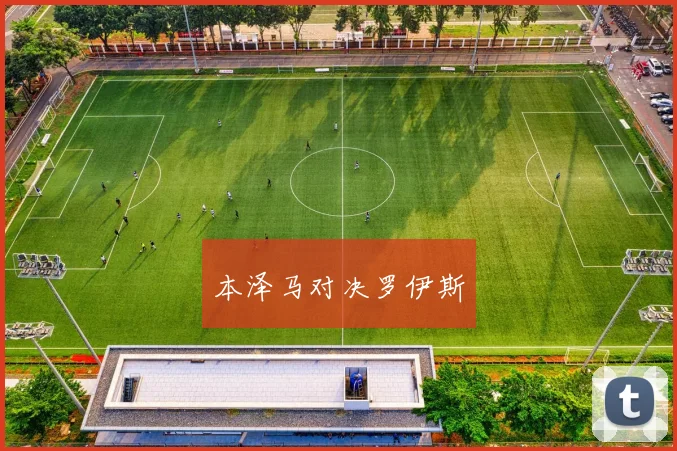 本泽马对决罗伊斯