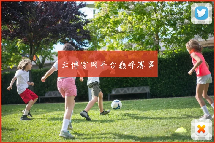 云博官网平台巅峰赛事