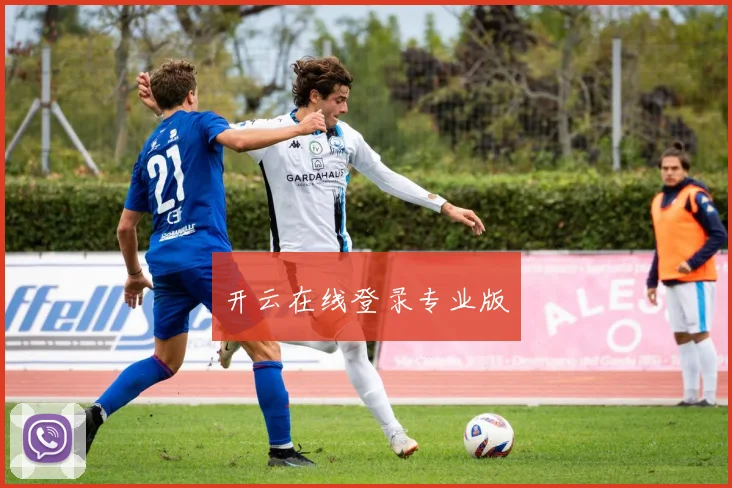 开云在线登录专业版