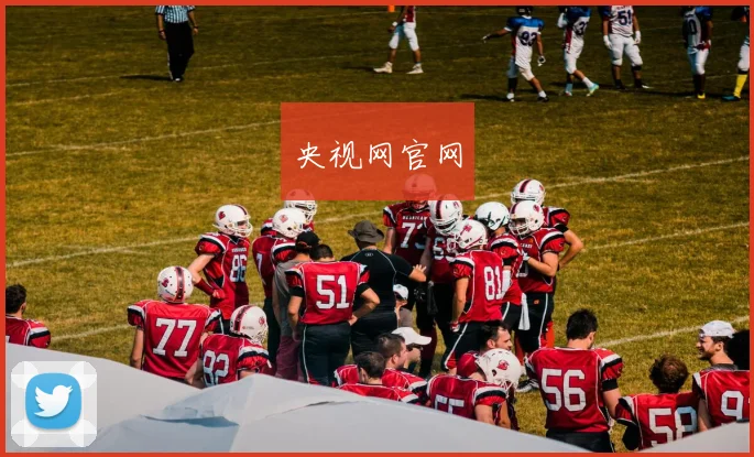 央视网官网