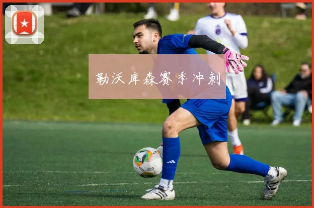 勒沃库森赛季冲刺