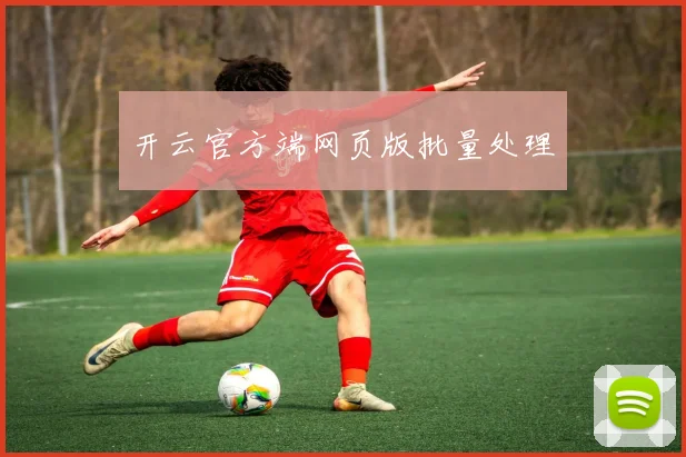 开云官方端网页版批量处理
