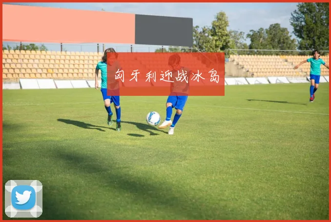 匈牙利迎战冰岛