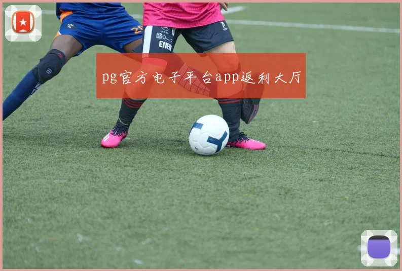 pg官方电子平台app返利大厅