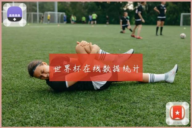 世界杯在线数据统计