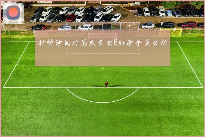 科特迪瓦对厄瓜多尔E组胜平负分析