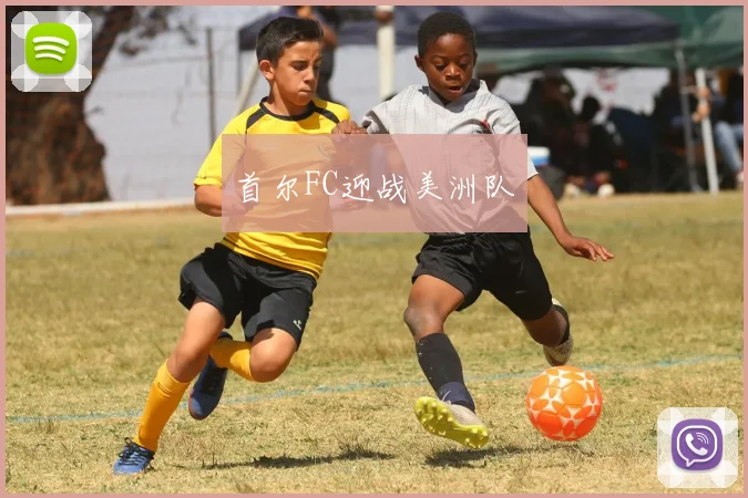 首尔FC迎战美洲队