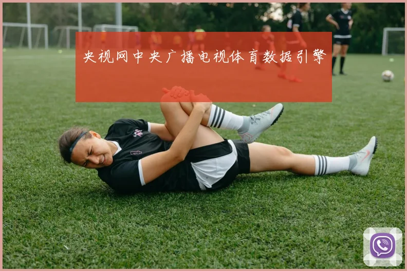 央视网中央广播电视体育数据引擎