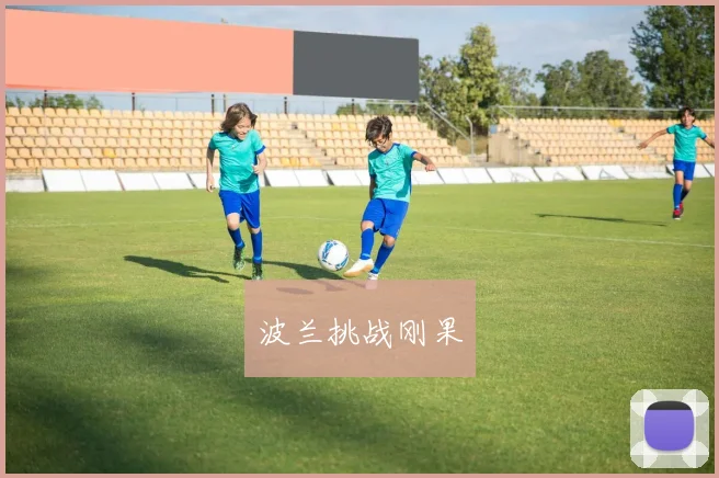 波兰挑战刚果