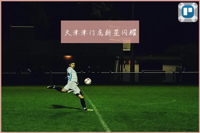 天津津门虎新星闪耀