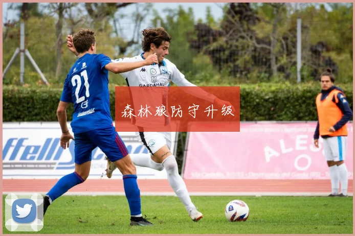 森林狼防守升级