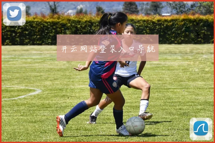 开云网站登录入口导航