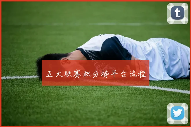 五大联赛积分榜平台流程