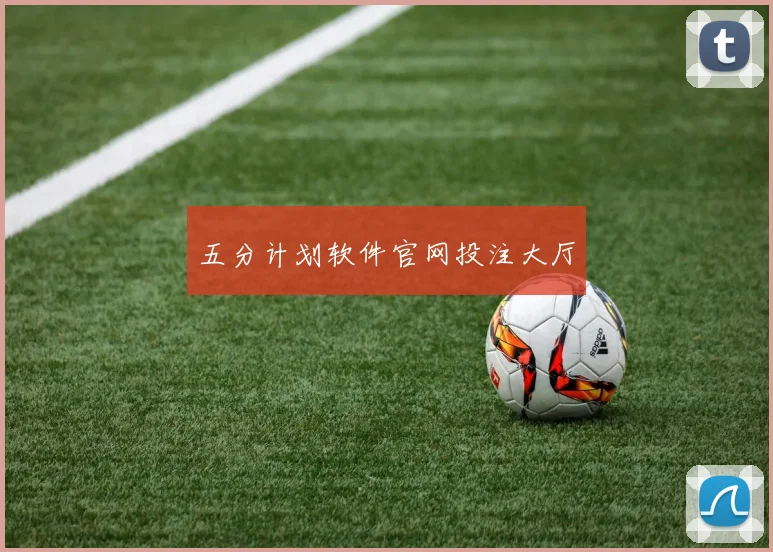 五分计划软件官网投注大厅