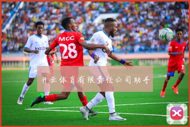 开云体育有限责任公司助手