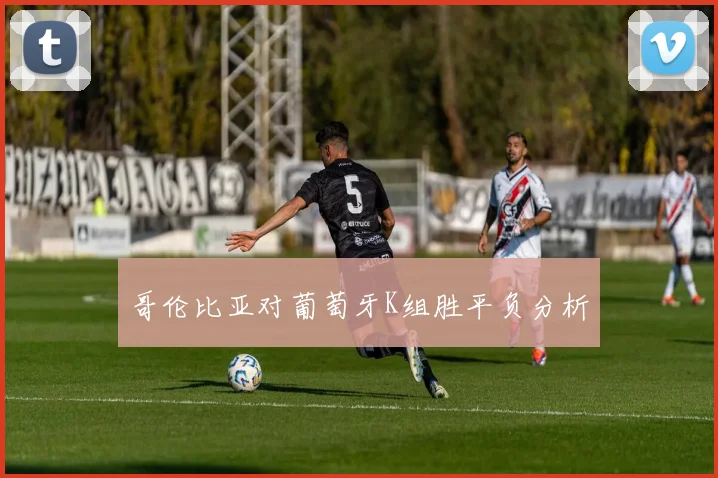 哥伦比亚对葡萄牙K组胜平负分析