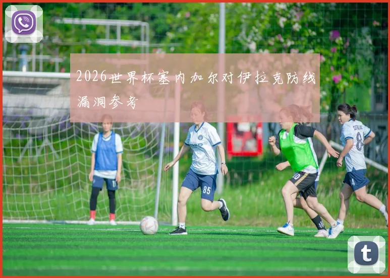 2026世界杯塞内加尔对伊拉克防线漏洞参考