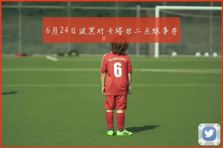 6月24日波黑对卡塔尔二点球争夺